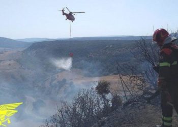 Incendio nelle campagne di Oschiri, sul posto il Corpo forestale