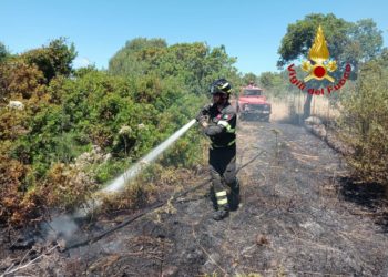 Incendio tra Bonarcado e Milis, sul posto i vigili del fuoco