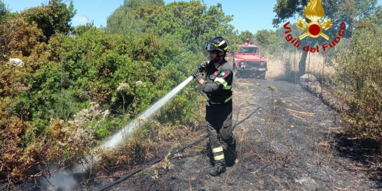 Incendio tra Bonarcado e Milis, sul posto i vigili del fuoco