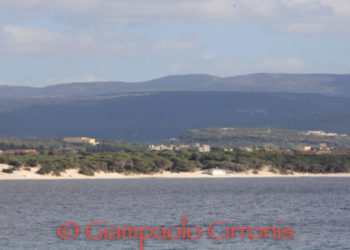 Alghero, ecco la delibera che sancisce l’ufficialità delle norme pubblicata in italiano ed in algherese