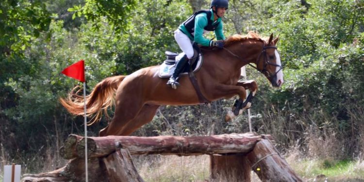 Abbasanta: a Tanca Regia la prima tappa Agris di Dressage/Paradressage e l’Open-Tappa Mipaaf di Completo
