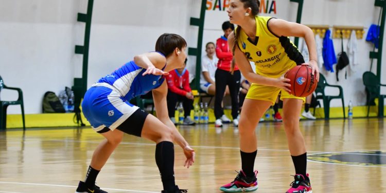 La Techfind si affaccia per la prima volta ai playoff. Roberto Fioretto: «Con Brixia è sfida alla pari»