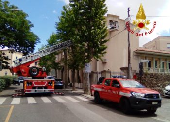 Nuoro: i vigili del fuoco salvano dei colombi imprigionati in un sottotetto