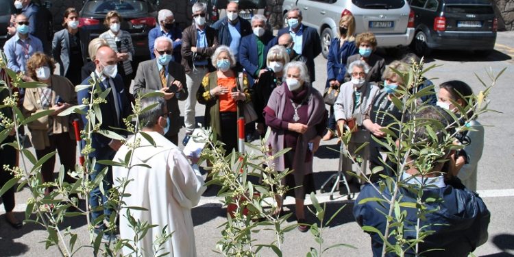 Un albero d’ulivo per il personale sanitario