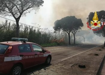 Vasto incendio nei pressi di via Sulcitana, ad Elmas, i vigili del fuoco sul posto con varie squadre