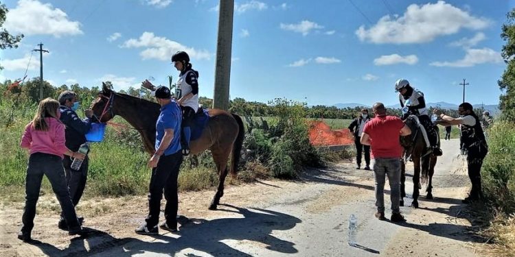 Arborea: doppietta sarda ai Campionati Italiani Junior e Young Rider di Endurance