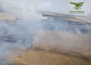 Oggi, su un totale di 17 incendi sviluppatisi sul territorio regionale, 3 hanno richiesto l’intervento del mezzo aereo del Corpo forestale
