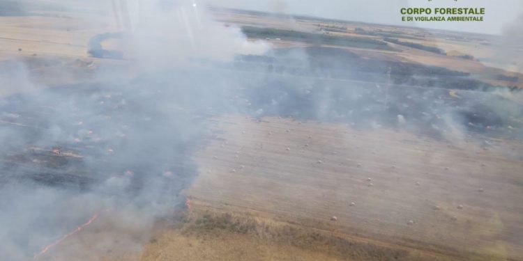 Oggi, su un totale di 17 incendi sviluppatisi sul territorio regionale, 3 hanno richiesto l’intervento del mezzo aereo del Corpo forestale