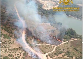 Incendi a Bonarcado, Seneghe, Furtei e Sanluri: sul posto il Corpo forestale