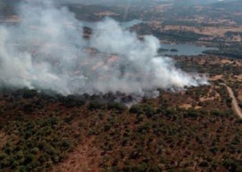 Oggi, in Sardegna, 3 incendi hanno richiesto l’intervento del mezzo aereo del Corpo forestale