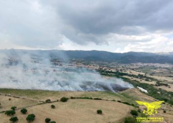 Oggi, su un totale di 10 incendi sviluppatisi sul territorio regionale, 3 hanno richiesto l’intervento del mezzo aereo del Corpo forestale