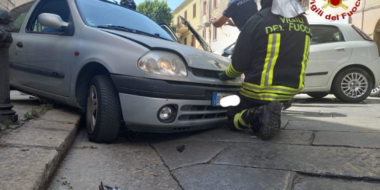Singolare incidente a Sassari: due auto si scontrano, la colpa è di un piccione