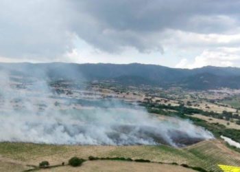 Incendio nelle campagne di Cabras, sul posto il Corpo forestale