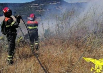 Incendio nelle campagne di Buddusò, sul posto il Corpo forestale