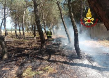 Incendio di vegetazione a Sedilo, sul posto vigili del fuoco e Corpo forestale