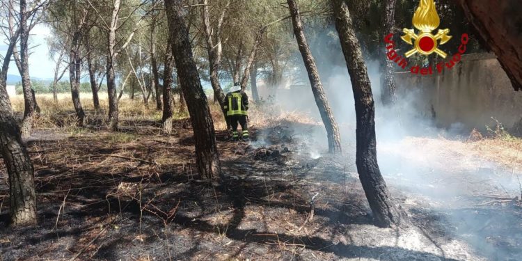 Incendio di vegetazione a Sedilo, sul posto vigili del fuoco e Corpo forestale