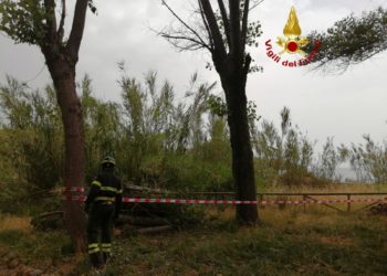 Santa Caterina di Pittinuri: cade un ramo, sul posto i vigili del fuoco
