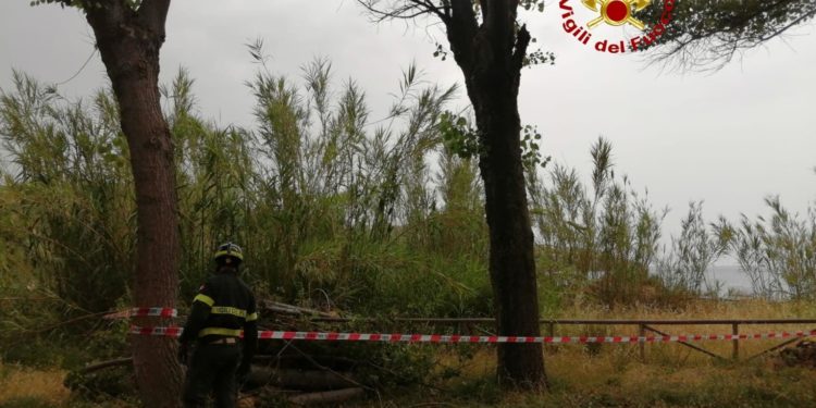 Santa Caterina di Pittinuri: cade un ramo, sul posto i vigili del fuoco