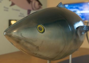 Stintino: parte la stagione 2021 del Museo della Tonnara