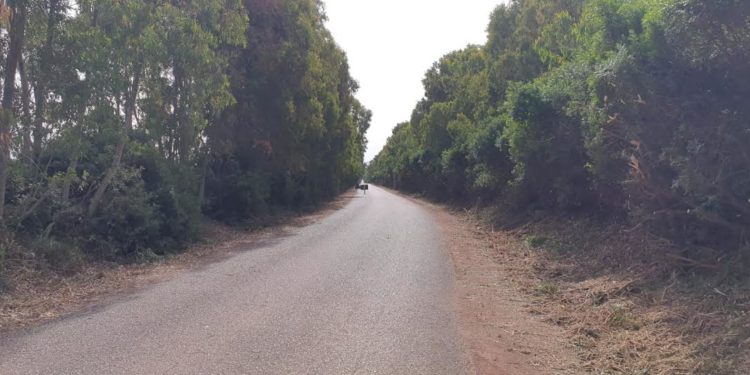 Alghero: proseguono i lavori di messa in sicurezza delle strade dell’agro