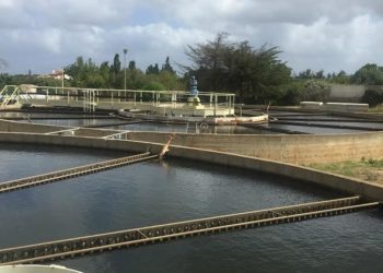 Sassari, Porto Torres e Stintino: via libera al potenziamento dell’impianto di potabilizzazione di Truncu Reale