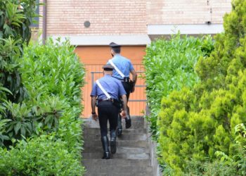 Un 30enne di Assemini è finito agli arresti domiciliari per furto aggravato, lesioni personali e uccisione di animali