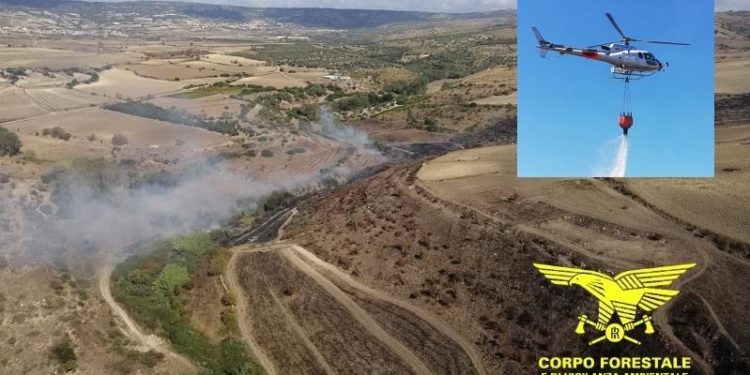 Incendio a Baressa, sul posto coordina le operazioni di spegnimento il Corpo forestale di Ales