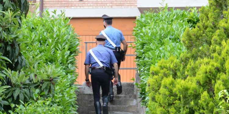 Un 30enne di Assemini è finito agli arresti domiciliari per furto aggravato, lesioni personali e uccisione di animali