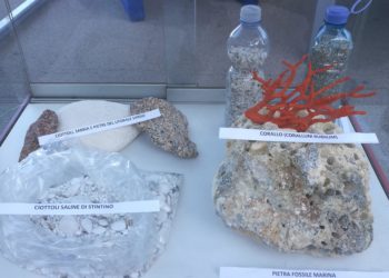 Sono stati restituiti agli arenili dell’Isola oltre 100 kg di sabbia e sassi sequestrati la scorsa estate, 41 turisti verbalizzati e sanzionati