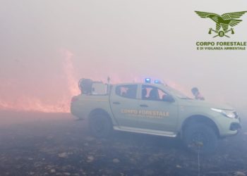 Incendio nelle campagne di Ittiri, sul posto il Corpo forestale