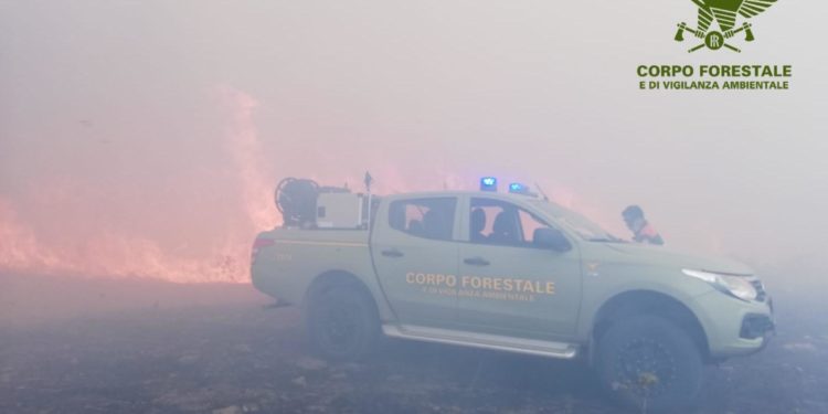 Incendio nelle campagne di Ittiri, sul posto il Corpo forestale