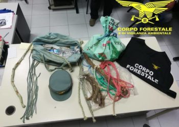 Sanluri: incendi dolosi tra giugno e luglio 2019, condannato il responsabile