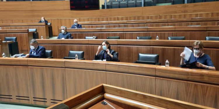 Audizioni in Commissione Sanità sulle terapie intensive pediatriche