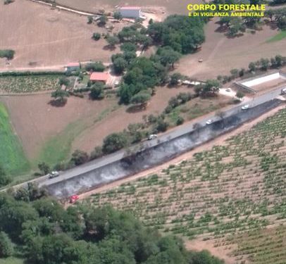 Oggi, su un totale di ben 29 incendi sviluppatisi sul territorio regionale, 8 hanno richiesto l’intervento del mezzo aereo del Corpo forestale