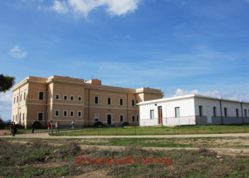 Bando di gara regionale per i collegamenti tra Porto Torres e Cala Reale (l’Asinara)