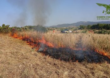 A Siliqua un’esecuzione del test di fuoco del Corpo forestale