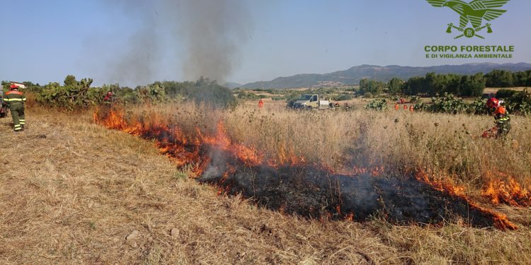 A Siliqua un’esecuzione del test di fuoco del Corpo forestale