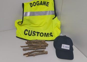 I funzionari ADM di Sassari hanno sequestrato talee e ciottoli all’aeroporto di Alghero