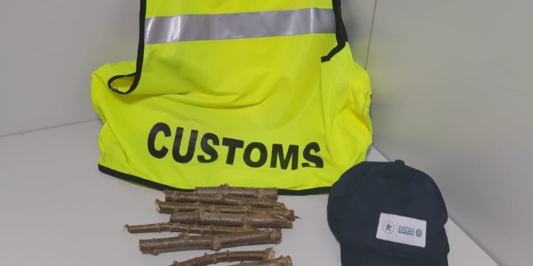 I funzionari ADM di Sassari hanno sequestrato talee e ciottoli all’aeroporto di Alghero