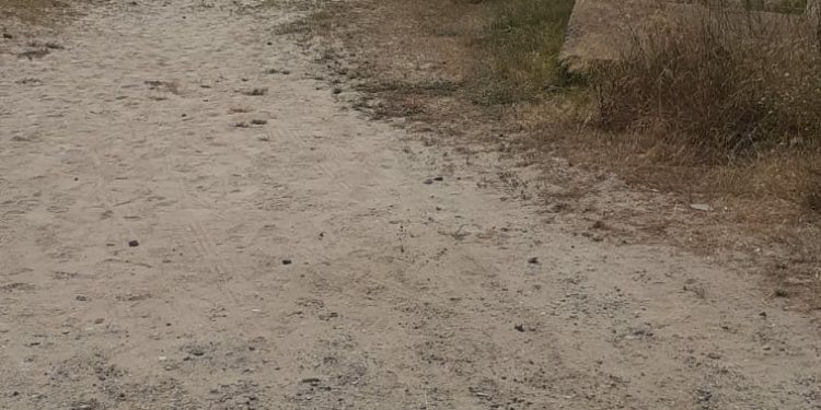 Cagliari: camper in sosta nell’arenile di Giorgino, sanzionato il proprietario