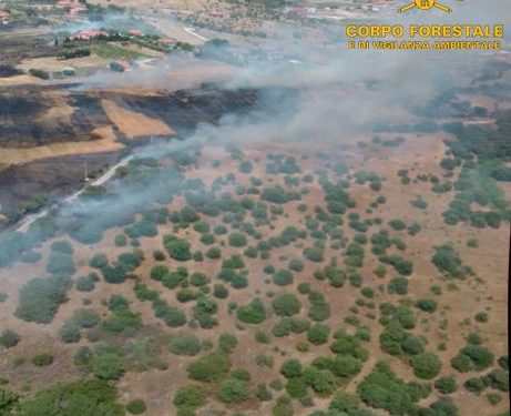 Tre degli undici incendi sviluppatisi oggi in Sardegna, hanno richiesto l’intervento del mezzo aereo del Corpo forestale