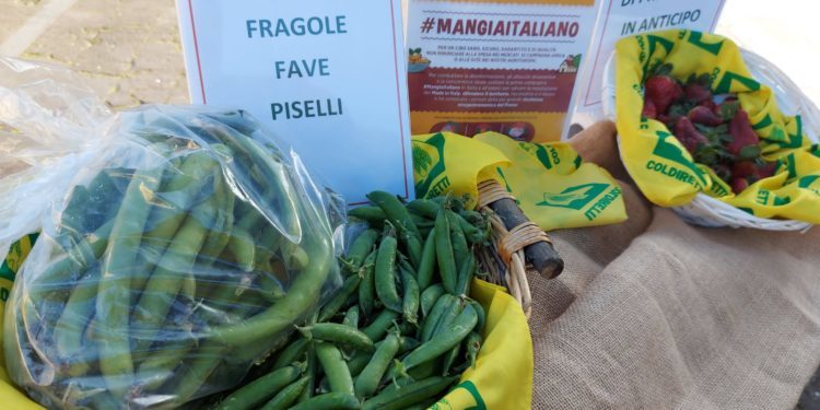 Olbia: i prodotti di Campagna Amica presenti al Rally Italia Sardegna