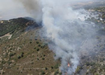 L’incendio sviluppatosi a San Basilio è l’unico che oggi in Sardegna, su 17, ha richiesto l’intervento dei mezzi aerei del Corpo forestale