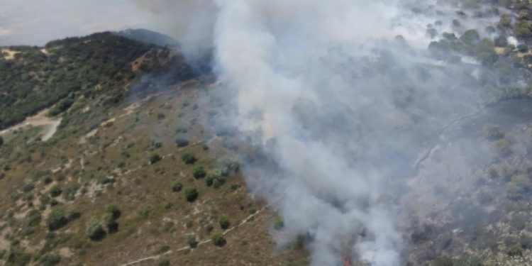 L’incendio sviluppatosi a San Basilio è l’unico che oggi in Sardegna, su 17, ha richiesto l’intervento dei mezzi aerei del Corpo forestale