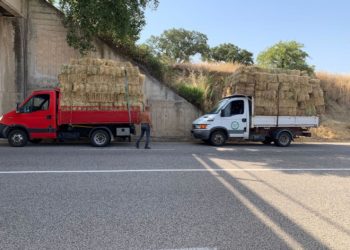 Incendi in Sardegna. Gianuario Falchi: «Un grazie enorme all’assessore dell’Agricoltura che è completamente sparita invece di essere in prima linea in questo dramma»