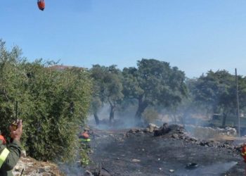 Desulo, incendio in località Case Floris: interviene il Corpo forestale