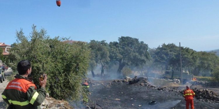 Desulo, incendio in località Case Floris: interviene il Corpo forestale