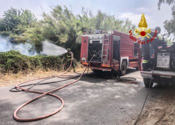Incendi nell’isola. Cia Sardegna: «Ennesimo disastro per la nostra terra»