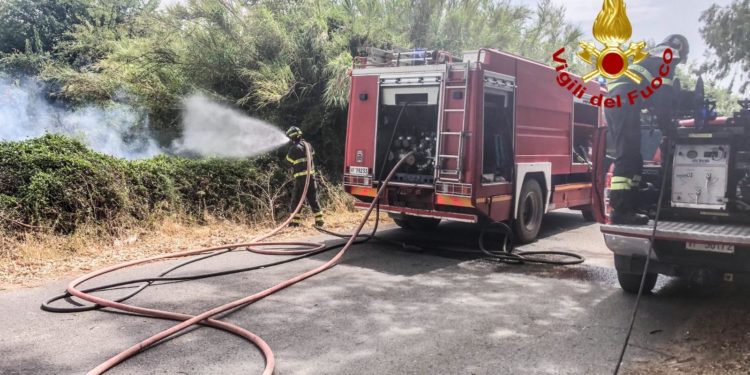 Incendi nell’isola. Cia Sardegna: «Ennesimo disastro per la nostra terra»