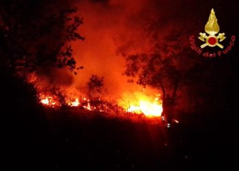 Incendio di vegetazione a Nuoro, notte di lavoro per i vigili del fuoco